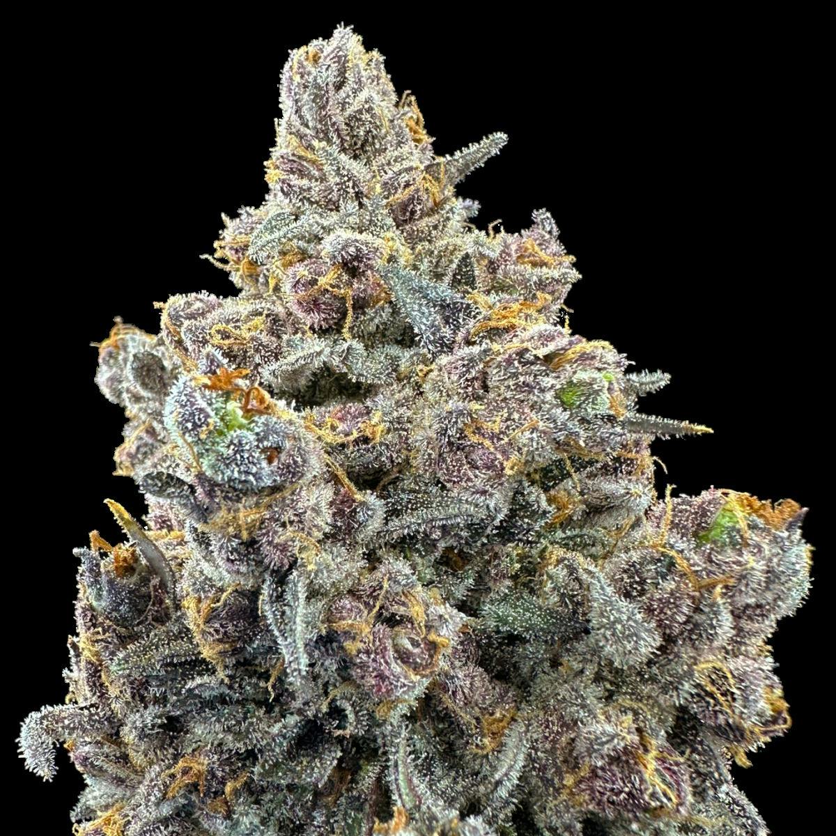 Fruit Pebblez (S) (3.5g)