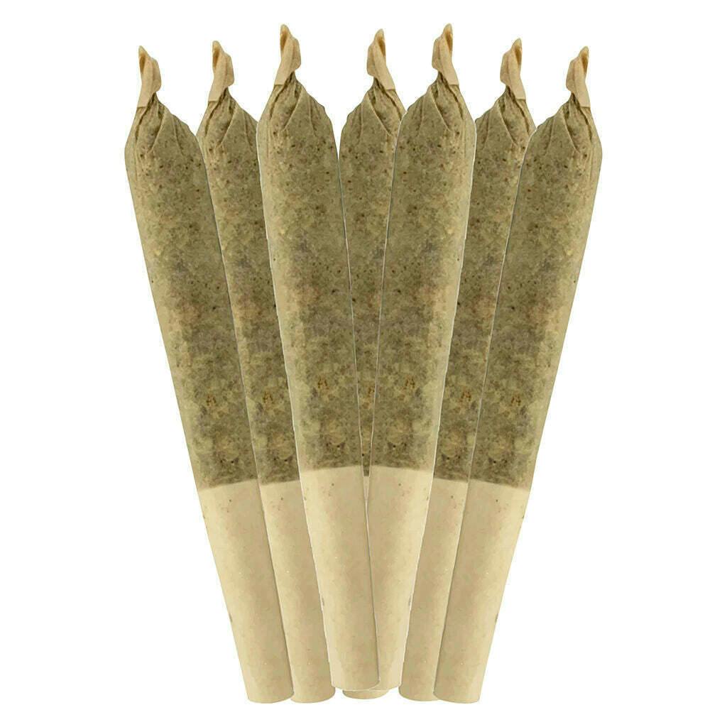 Sheeesh! Everyday - Dia De Los Muertos Pre-Roll - 7x0.5g