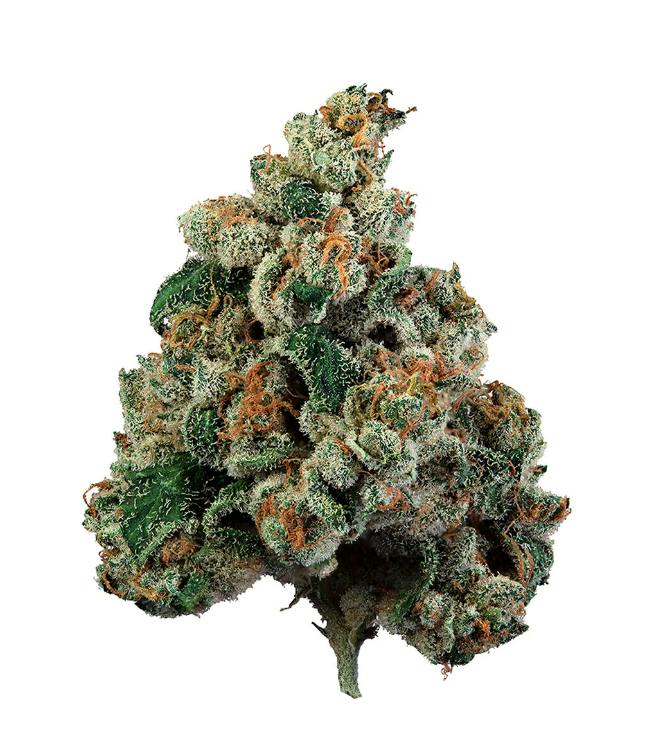 Steel City Green - Extreme - Legendary Larry - 14g