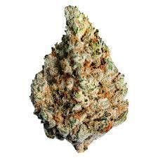 Lotus - Keylime Kush - 3.5g