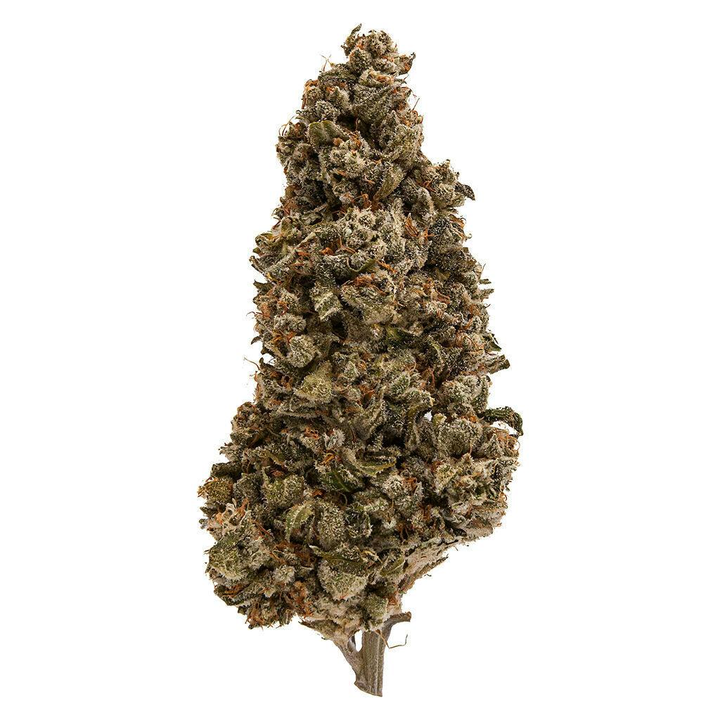 Fuga - Strawberry Pave LSO - 3.5g