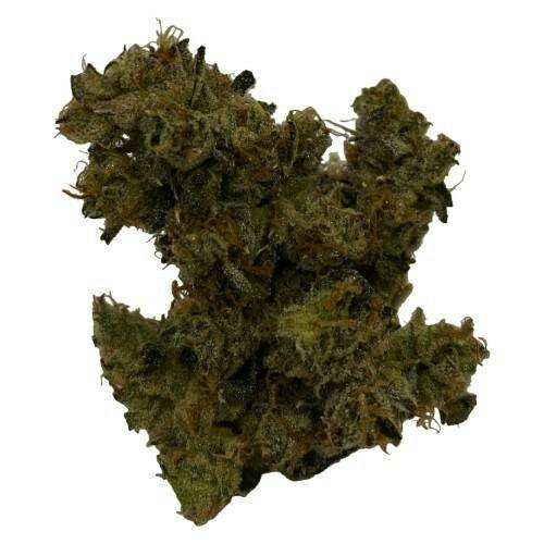 HighXotic - Royal Dive #3: Hindu Glue - 3.5g