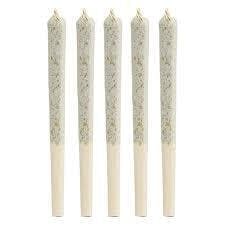 1964 - Sour Tangie Pre-roll - 5x0.5g