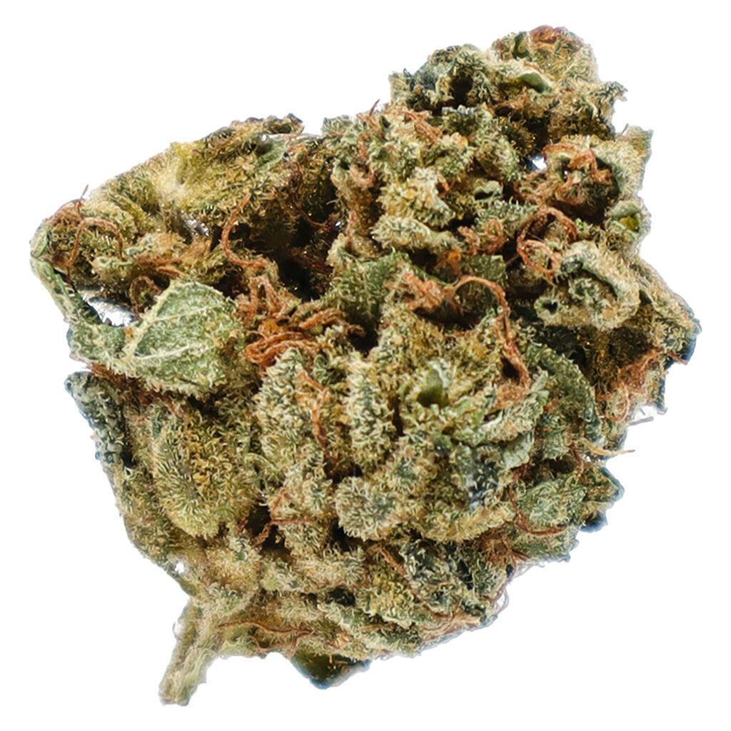 Potluck - Orange Layer Cake - 7g