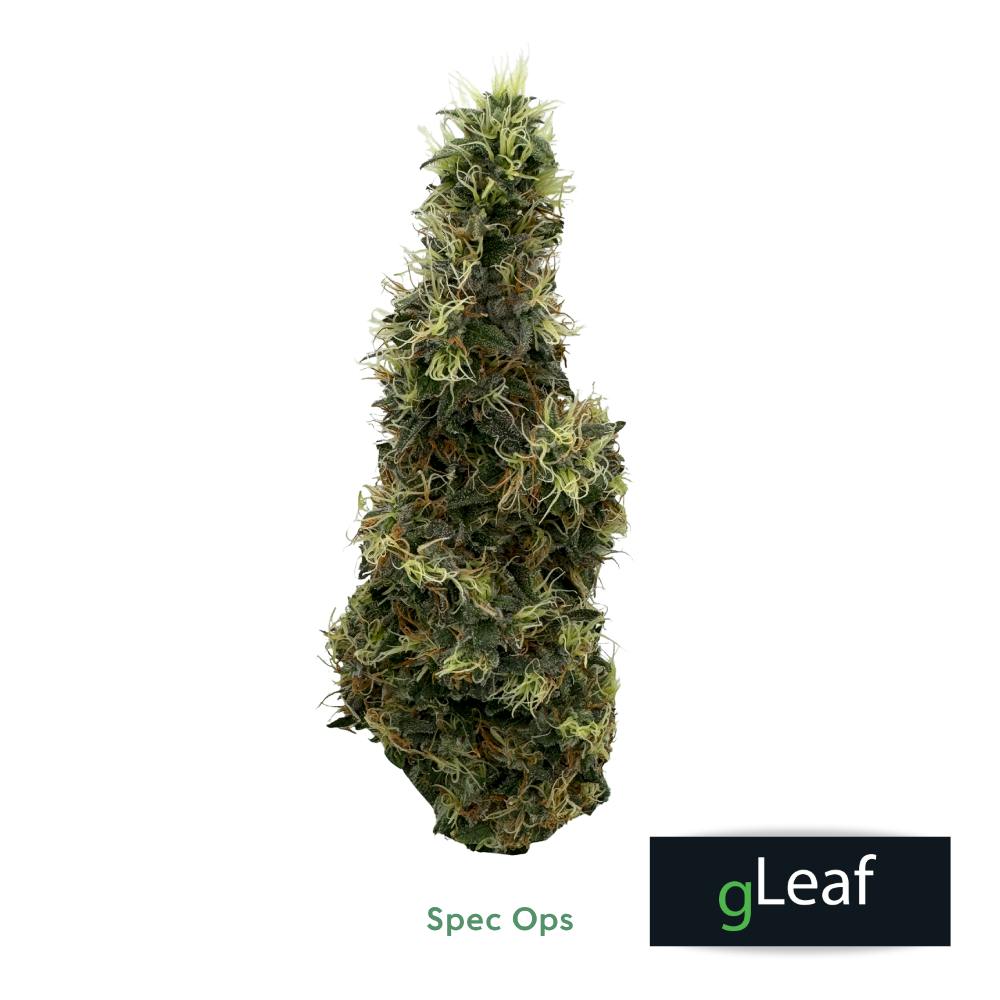 Special Ops Whole Flower