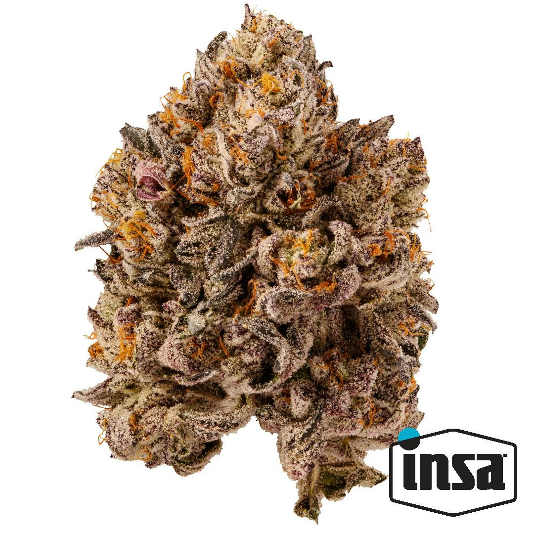 PBC Flower