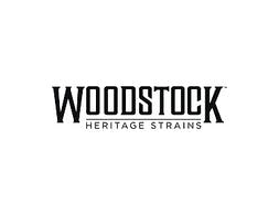 Woodstock — Northern Lights