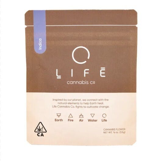 Life Eco — Magic Mango