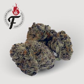 Apes in Space - Hybrid Indica - Fuego