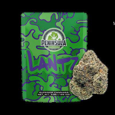 Peninsula Gardens | Lantz | 3.5g | Pre-Pack Flower