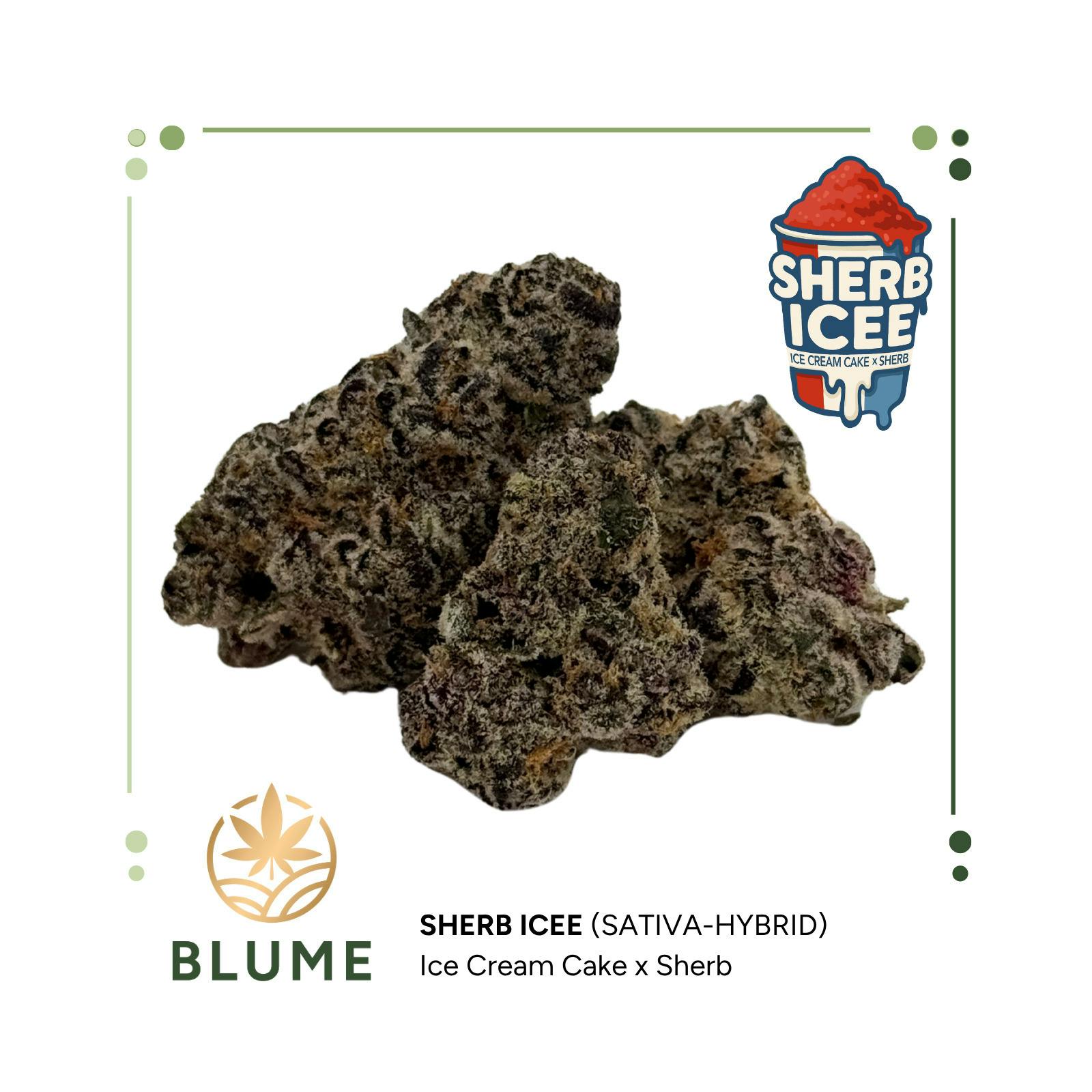 BLUME | Sherb Icee | Big Buds | 3.5g