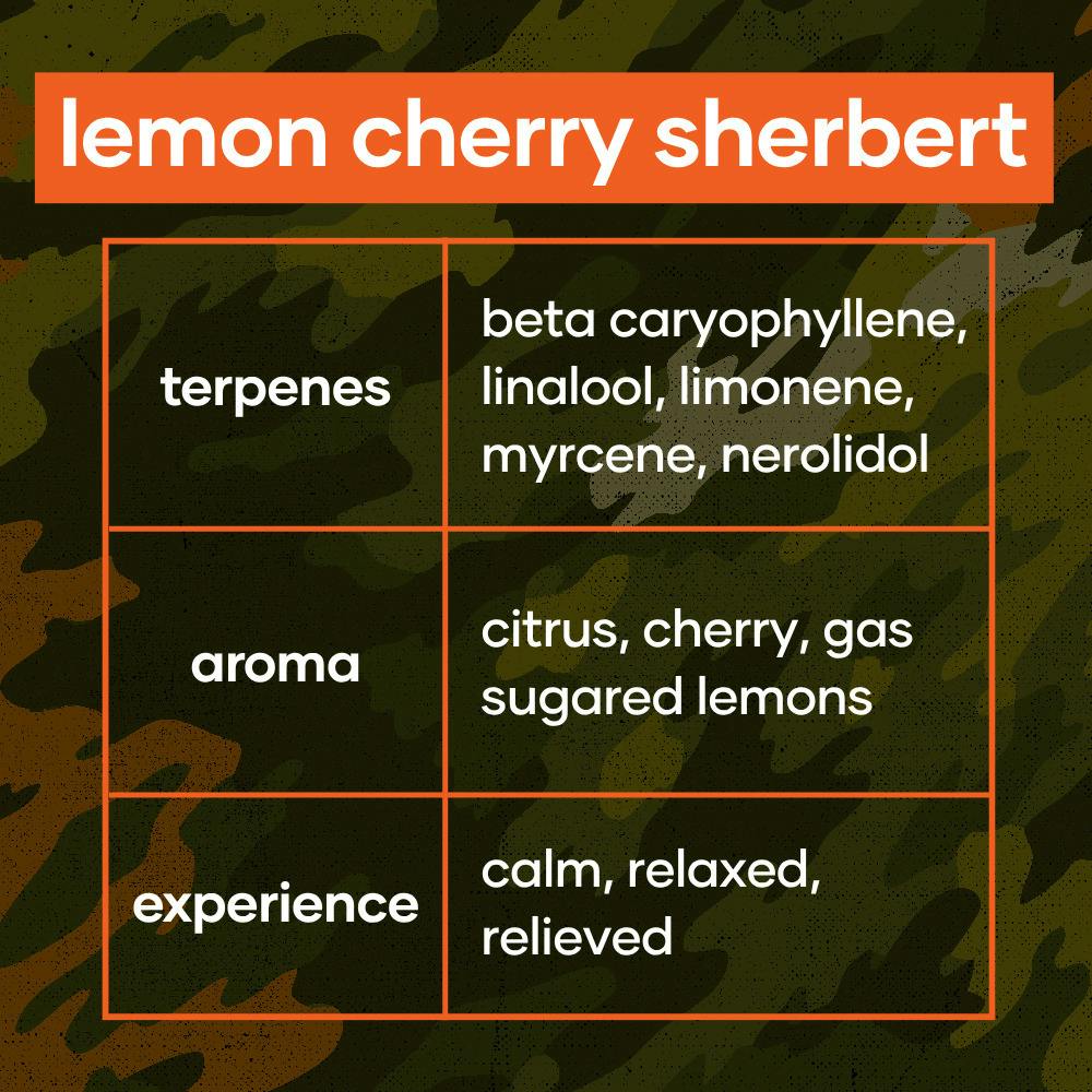CODES: Flower | Lemon Cherry Sherbert at Greenlight Dispensary Columbia