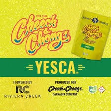 Cheech & Chong: Yesca - Small Buds