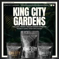 King City: The Button - Smalls