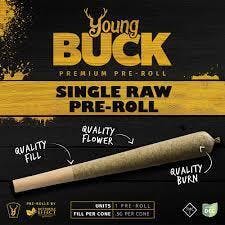 Young Buck: Notorious - Preroll