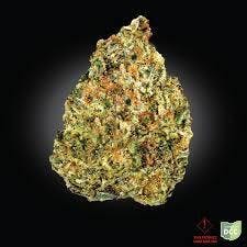 Ancient Roots: Lemon Kush #2