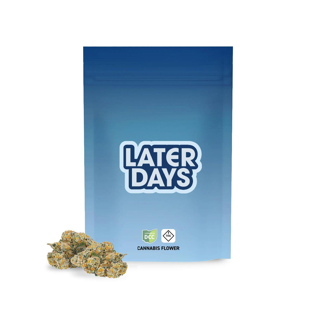 Later Days: LGMO - 1