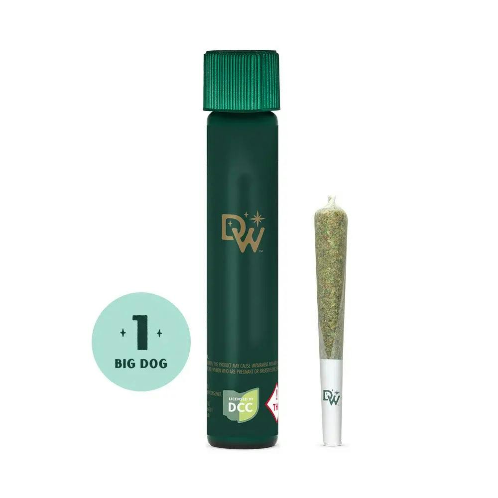 DogWalkers: Chkn n' Wffls - Preroll