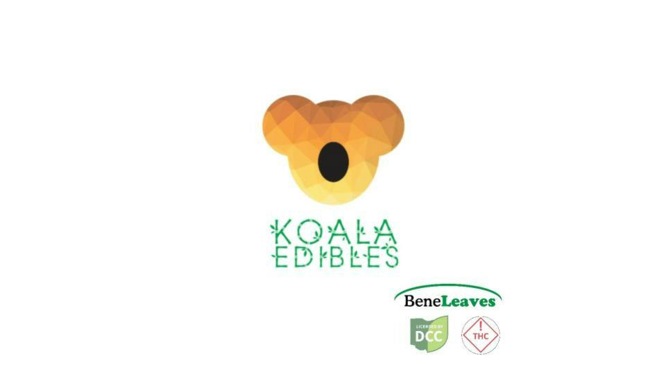 Koala: Classic Chocolate Bar