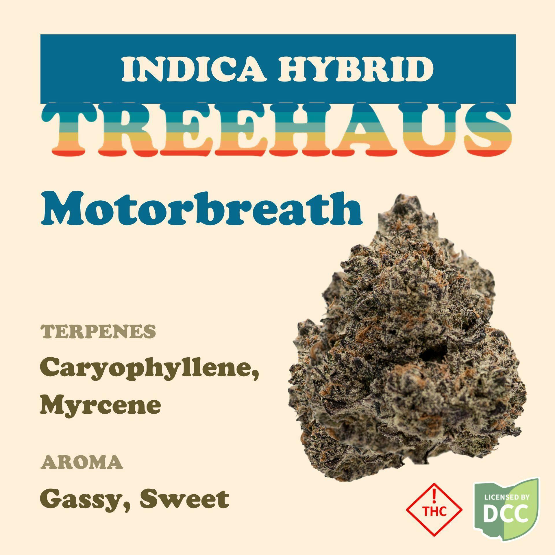 Treehaus: Motorbreath