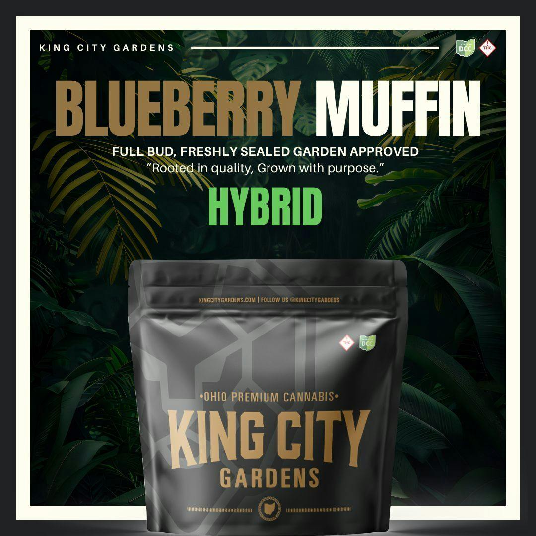 King City: Blueberry Muffin - Gold