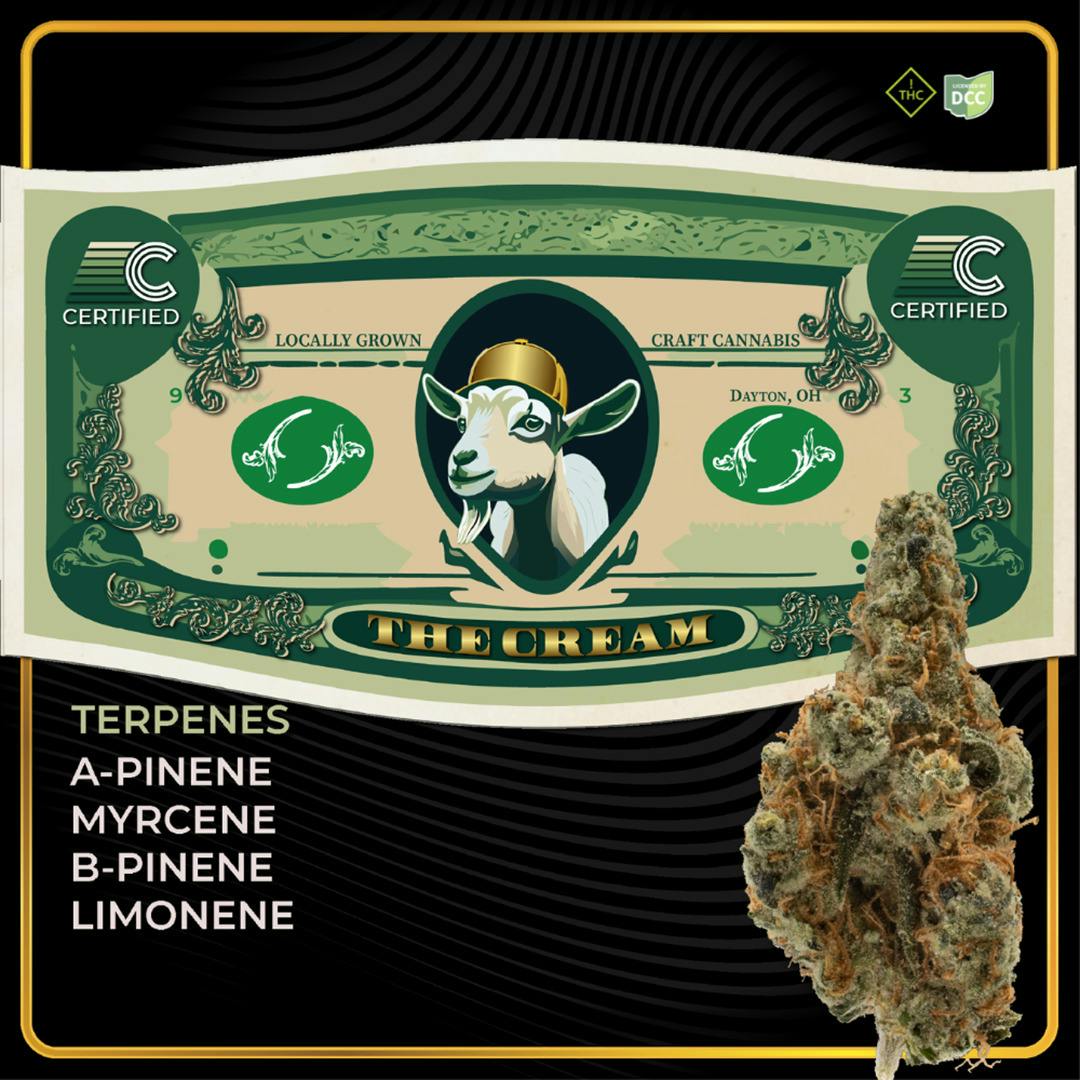 Certified: The CRM - Preroll
