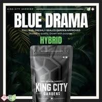 King City: Blue Drama - Smalls 1