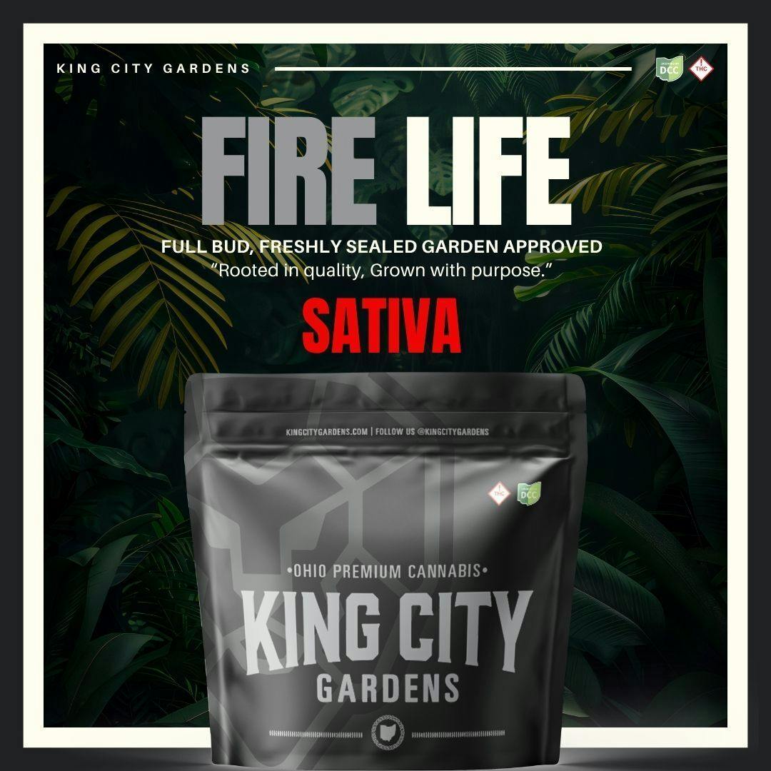 King City: Fire Life - Smalls