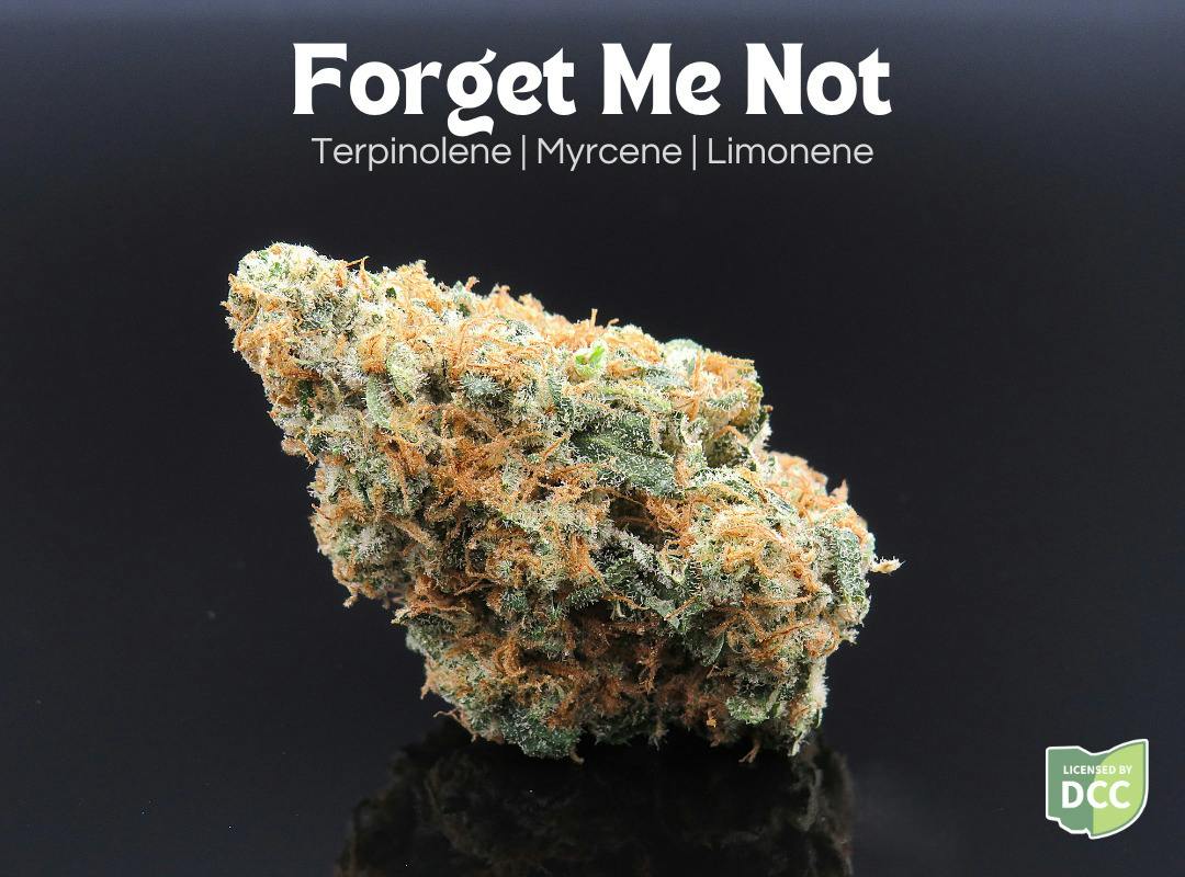 Farkas: Forget Me Not - 1