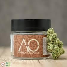 Anthos Organics: White Truffle