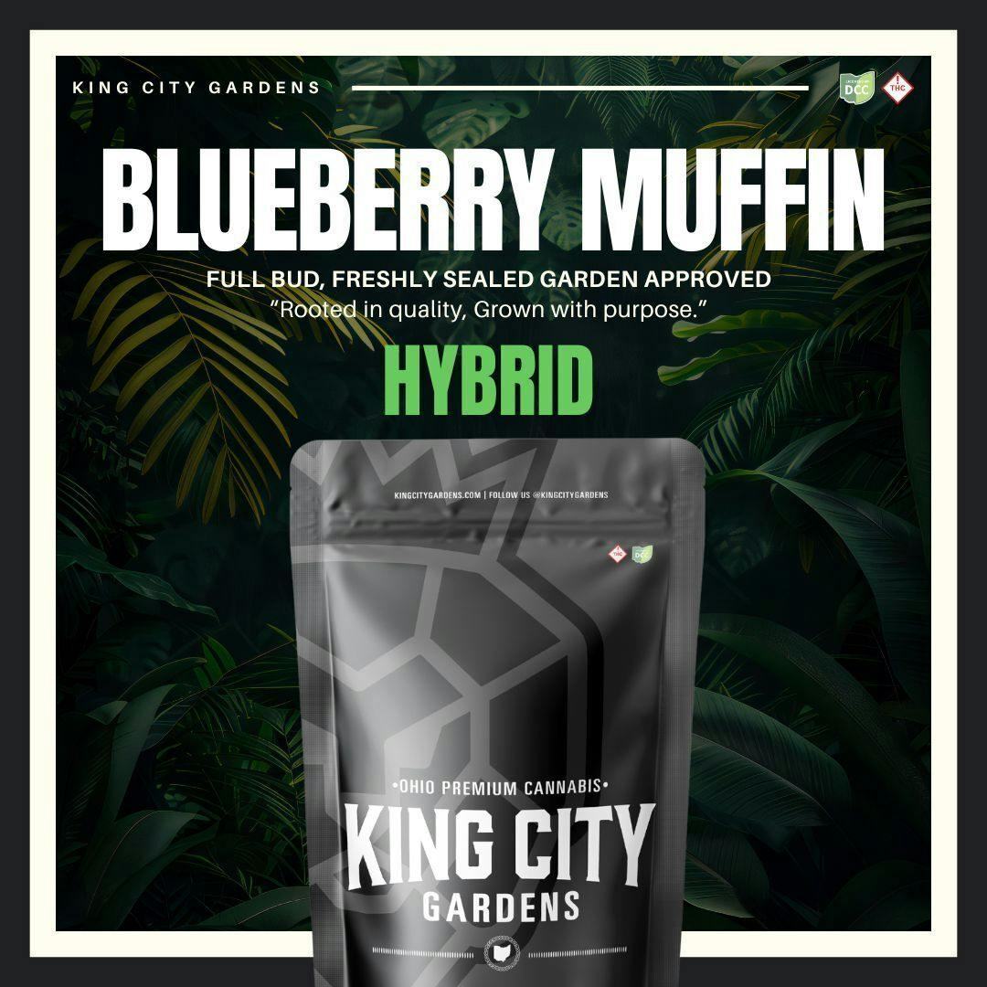 King City: Blueberry Muffin - Gold 1