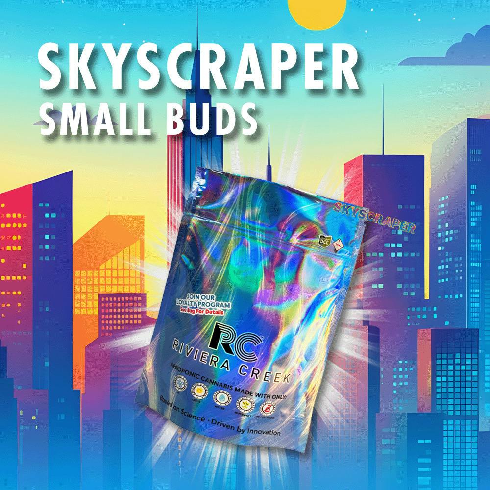 Riviera Creek: Skyscraper - Small Buds