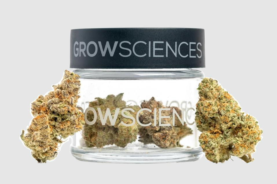 GROW SCIENCES Bananaconda 1/8