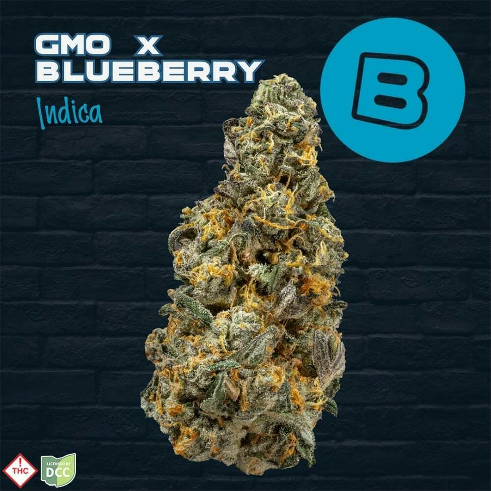 Buckeye: GMO x Blueberry