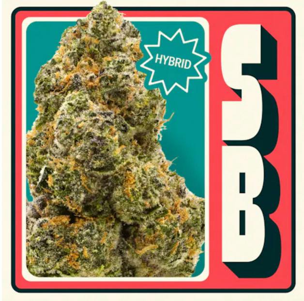 Neighborgoods: SB - 1