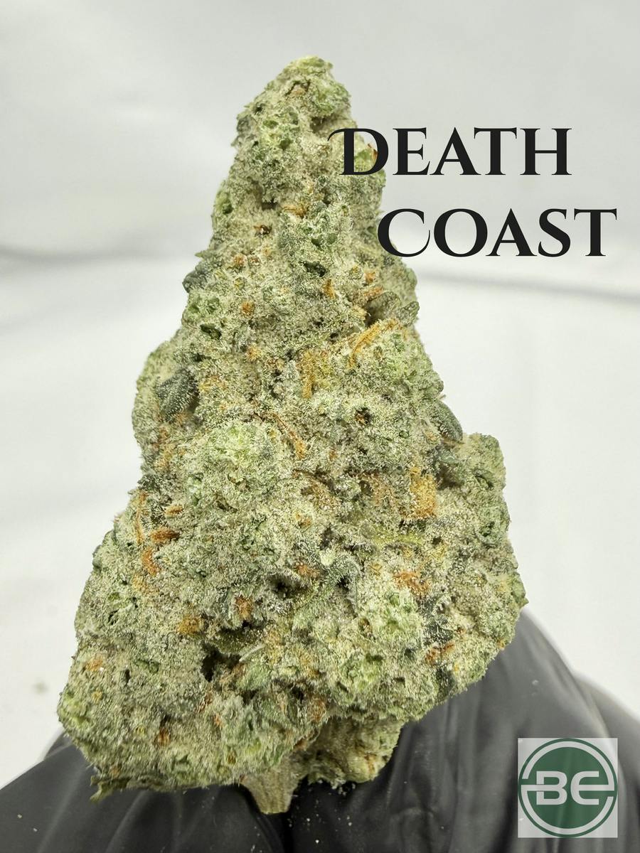 Death Coast