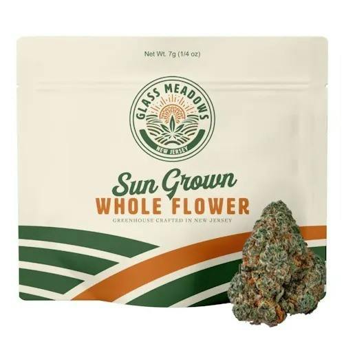 Glass Meadows - Tuscan Gelato - Small Buds