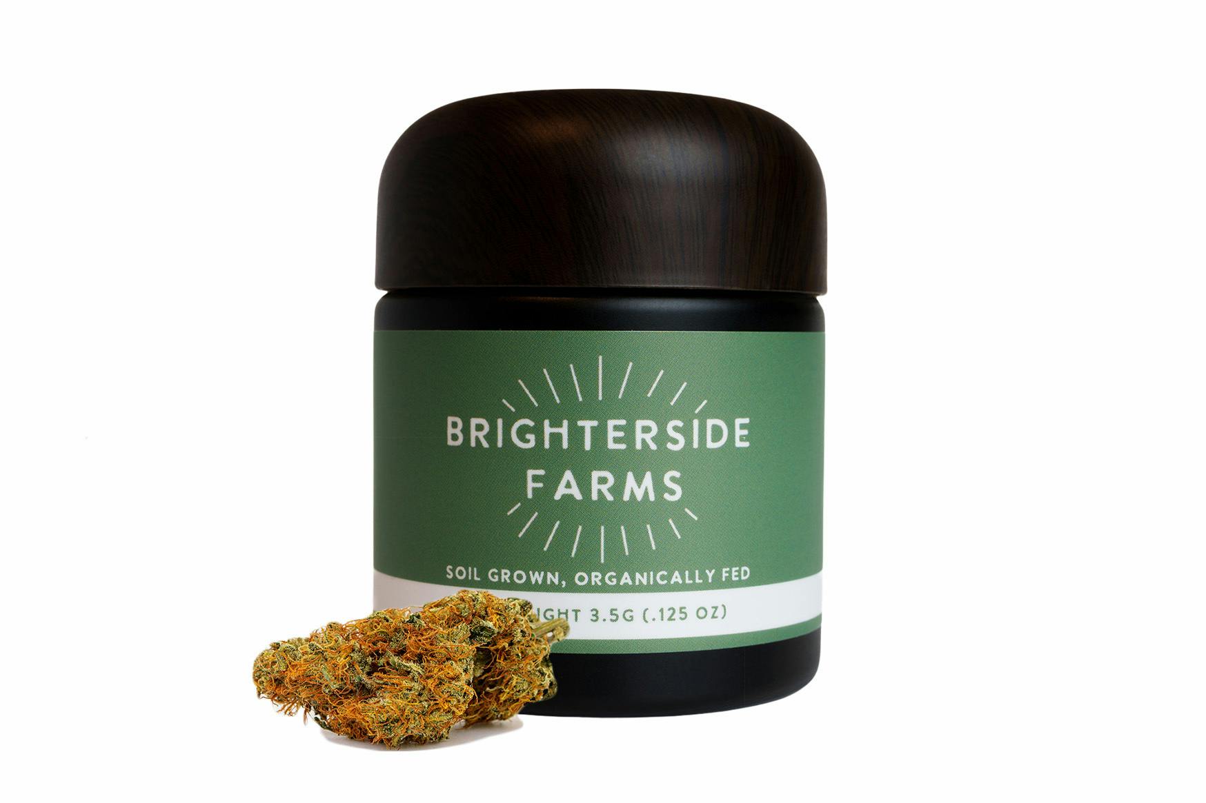 Brighterside Farms - Apple Fritter - Flower