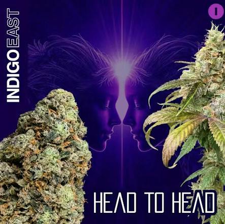 Indigo East - Head to Head - Flower