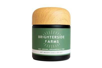 Brighterside Farms - Tropical Cooler - Flower