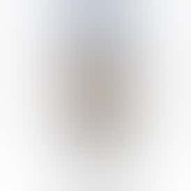 Exquisite Extracts Tri-Fi Oil 1 g