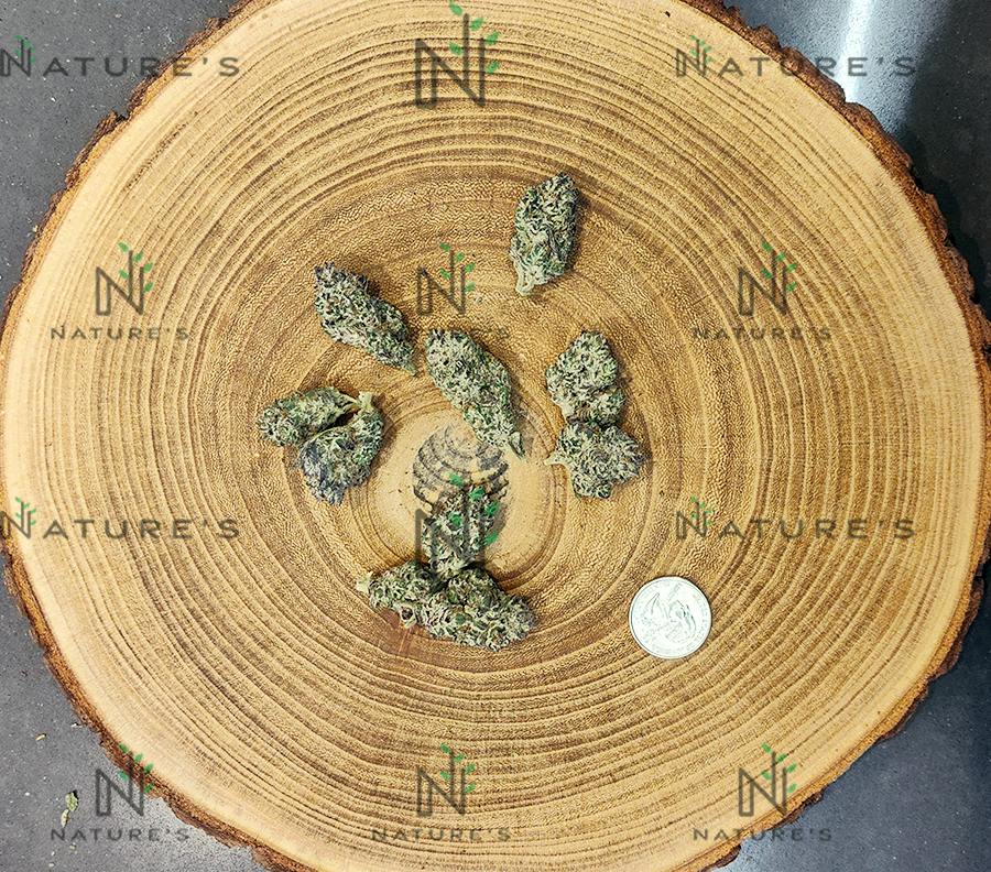 Nature's Bomb Shelf Oreoz Bulk
