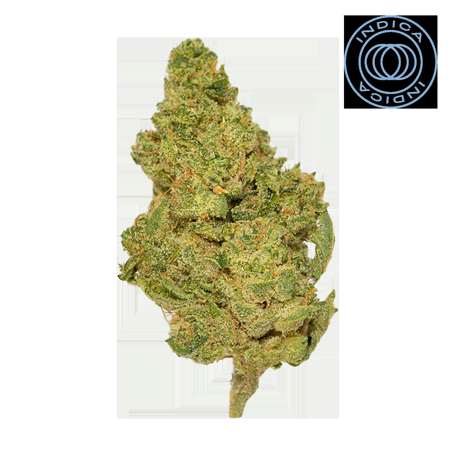Fatso 3.5g Flower
