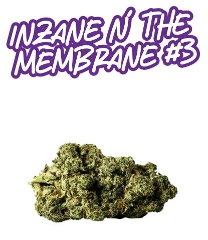 Inzane n' the Membrane - 3.5g - Fade Co