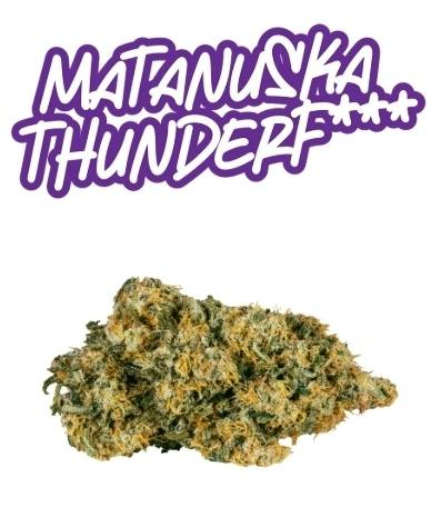 Matanuska Thunder F - 3.5g - Fade Co