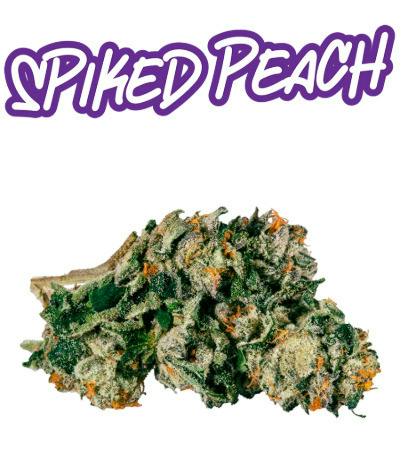 Spiked Peach - 3.5g - Fade Co