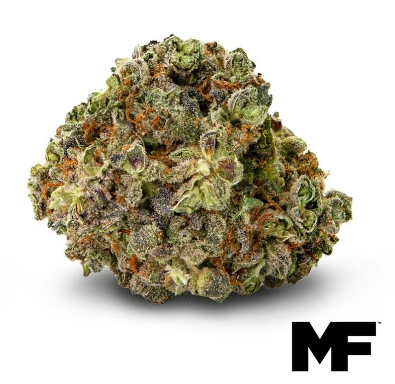Suit and Tie - 3.5g - Modern Flower