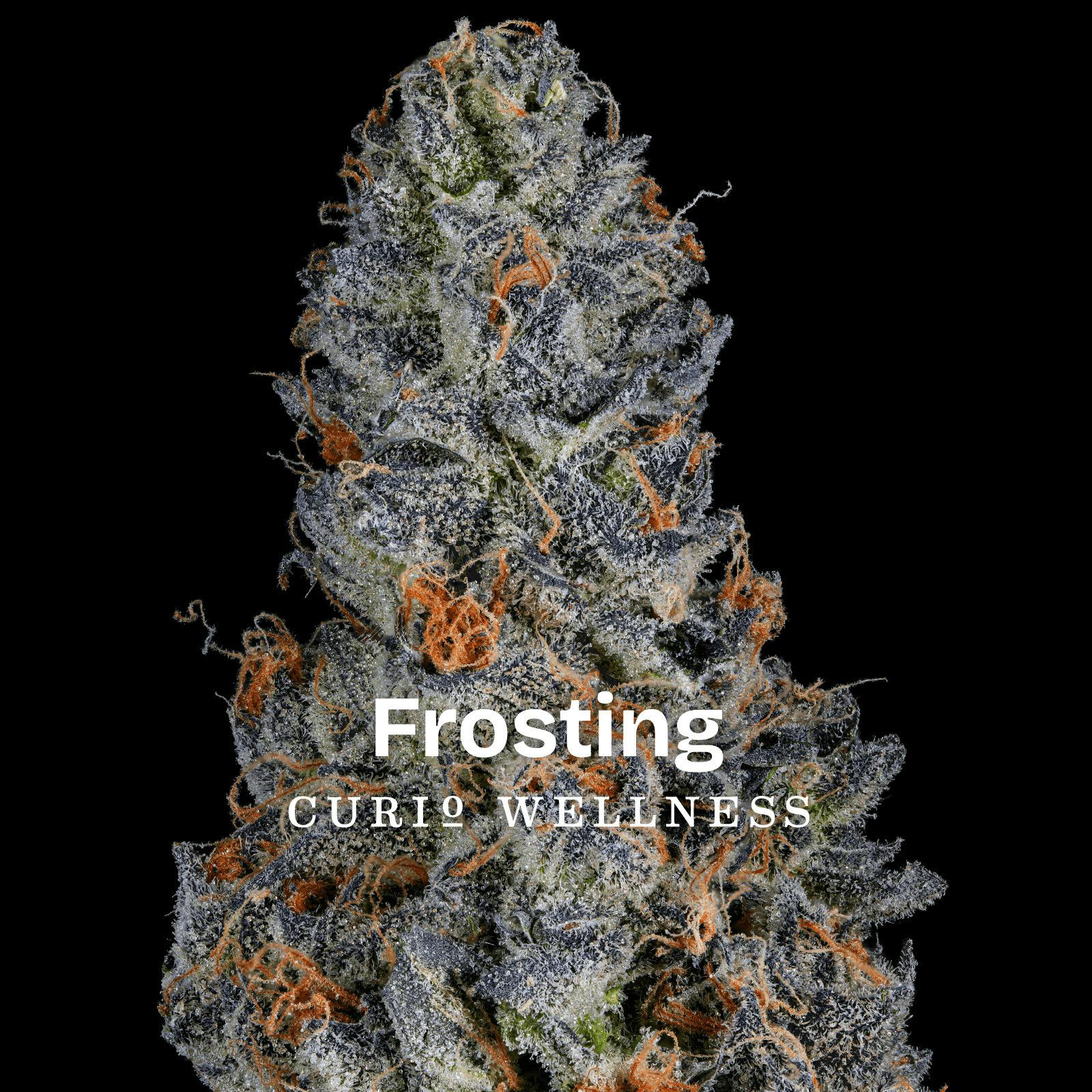 Frosting Baby Buds - 14g - Curio
