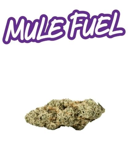 Mule Fuel - 7g - Fade Co
