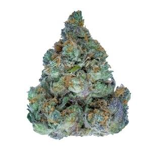 Cherry Chocolate Widow - 3.5g - Grow West Gold at KOAN Cannabis